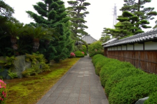 Ryutan-ji Temple is known for these pine trees