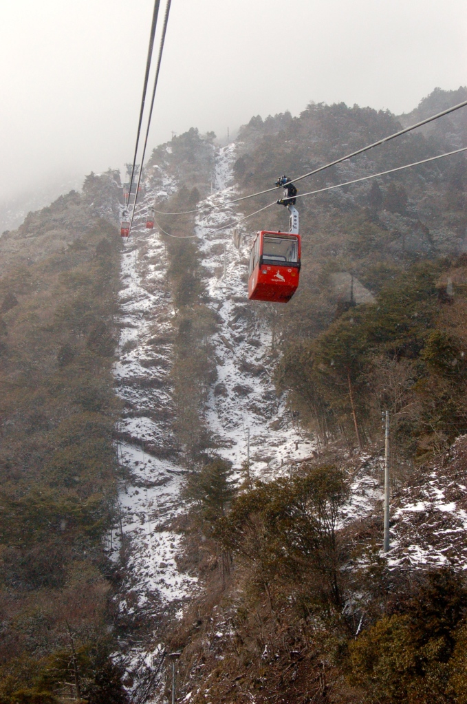 We rode a cable car to go up the mountain