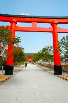 The main torii gate that leads you to the entrance