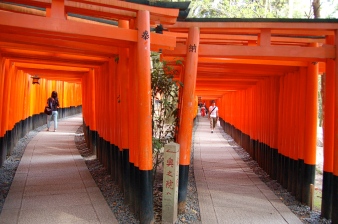 Senbon torii (thousands of torii gates) two dense parallel rows of gates marks the start of the trail